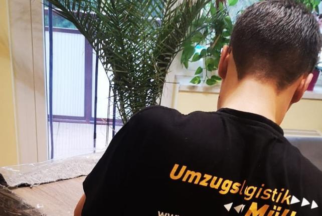Behördenumzug Preise und Kosten Geyer